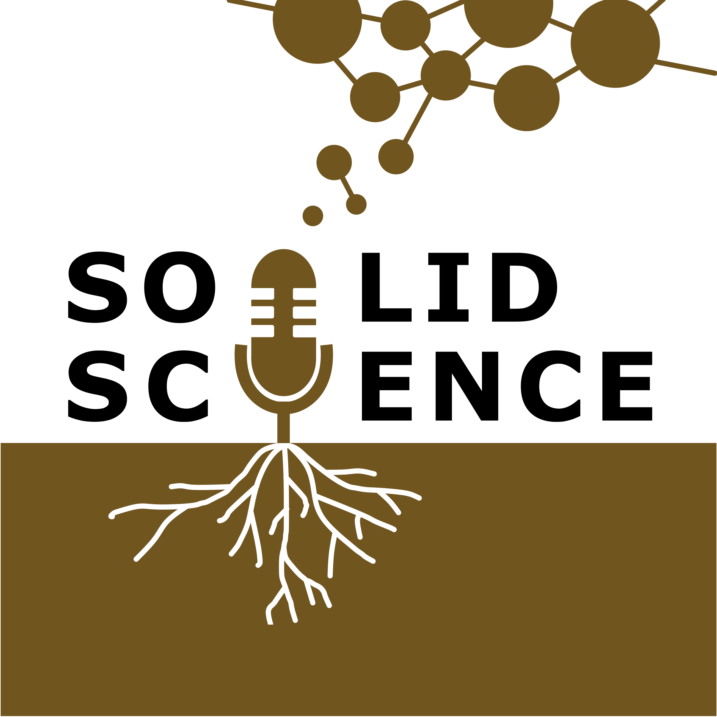 #05 Soils in Mountain Systems